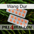 Hard Wang 27